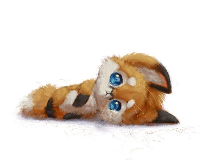 Sad fox 🦊