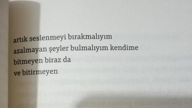 Bugün benim doğum günüm. Benim için geceye bir şiir bırakır mısınız?