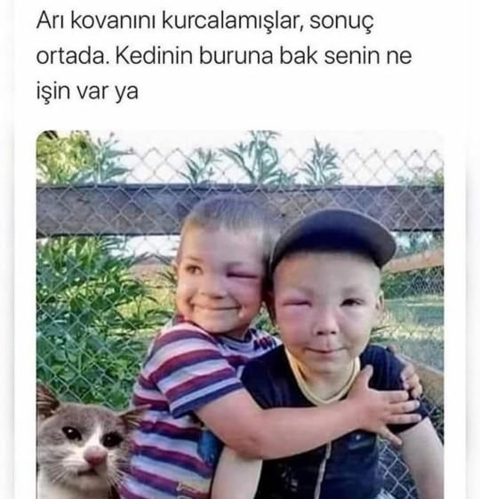 Size hiç arı soktu mu?