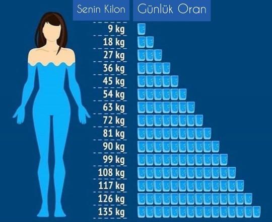 Vücudunuzun günlük su ihtiyacını biliyor musunuz?