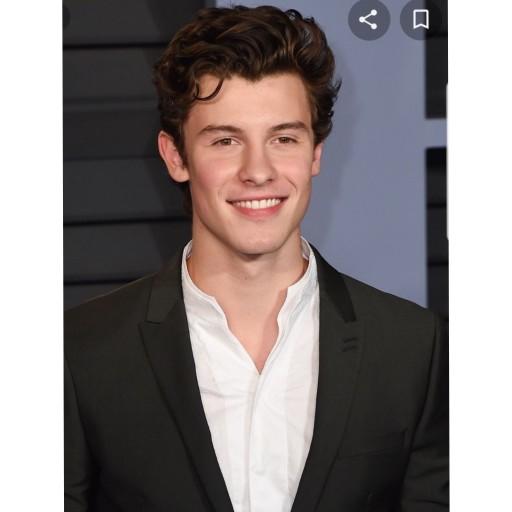Shawn Mendes sizce de çok yakışklı değil mi?