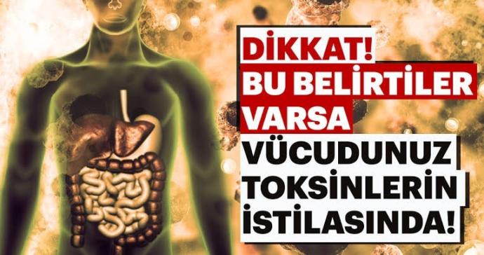 Vücuttaki tüm kötü bakterileri öldürmek veya vücuttan atabilmek için bildiğiniz bitkisel karisim var mi?
