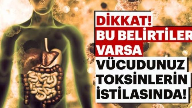 Vücuttaki tüm kötü bakterileri öldürmek veya vücuttan atabilmek için bildiğiniz bitkisel karisim var mi?