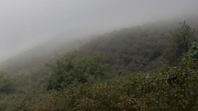 Havanın durumu ruh halinizi etkiler mi?
