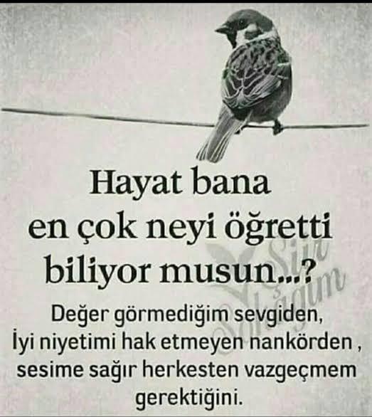 İnsanın tahammül sınırı yaş ile mi yoksa tecrübe/karakter ile mi doğru orantılıdır?