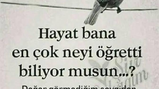 İnsanın tahammül sınırı yaş ile mi yoksa tecrübe/karakter ile mi doğru orantılıdır?