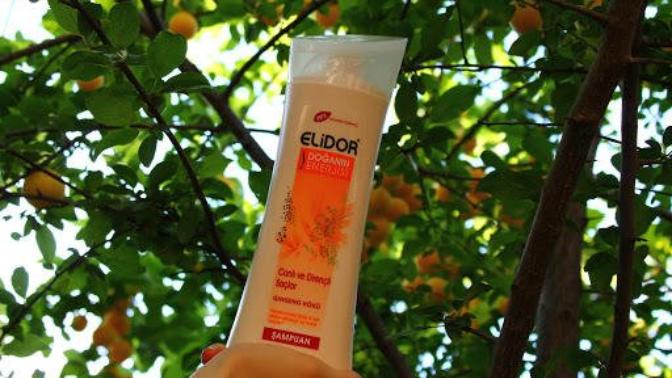 Elidor'un en beğendiğiniz serisi hangisi?
