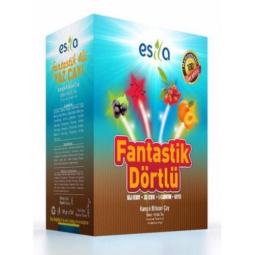 Esila Fantastik Dörtlü