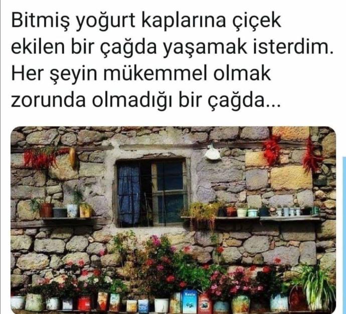 Hangi çağda yaşamak isterdiniz?
