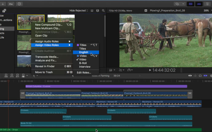 En İyi, Profesyonel Video Edit, Montaj Programı Hangisi?