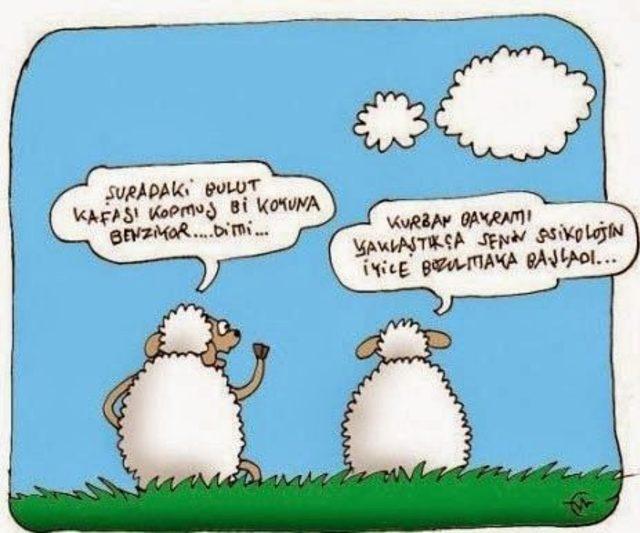 Komik Kurban Bayramı Mesajları
