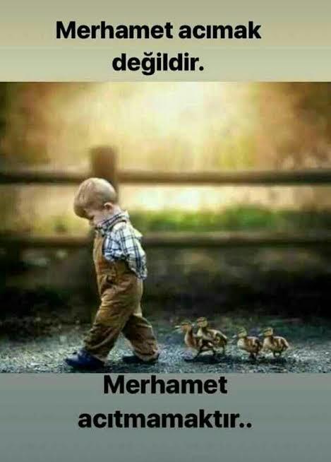 Merhamet içgüdüsel midir, sonradan öğrenilen bir duygu mudur?