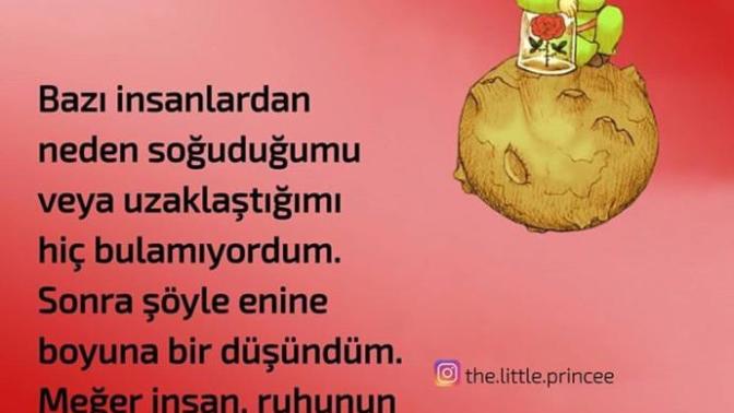 İnsanlar ve sevgiye olan güveniz nedir?