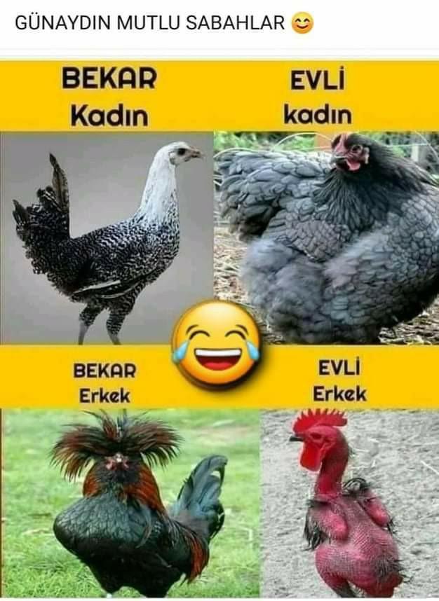 Gercekten böylemi oluyor evlenince?