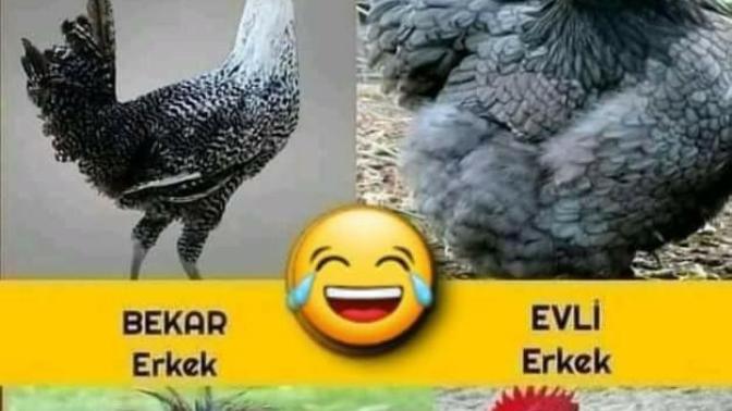 Gercekten böylemi oluyor evlenince?
