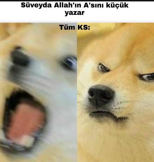 Dini mizah görünce ne yaparsınız?