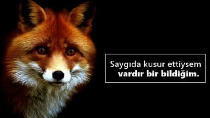 Açıkgözlülük-kurnazlık ahlaki midir? Yoksa zeka işi midir?