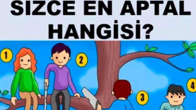Görsel'e göre sizce en aptal hangisi?