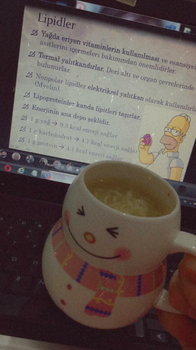 Noodle sever misiniz?