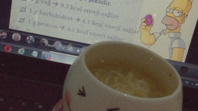 Noodle sever misiniz?