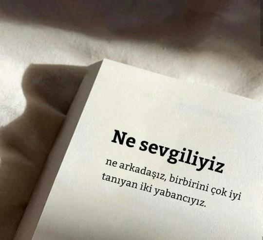 Birbirini çok iyi tanıyan iki yabancı, ileride sevgili olabilir mi?