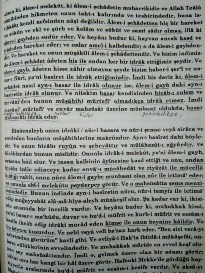 Kitaplardan alıntılar yapalım mı?