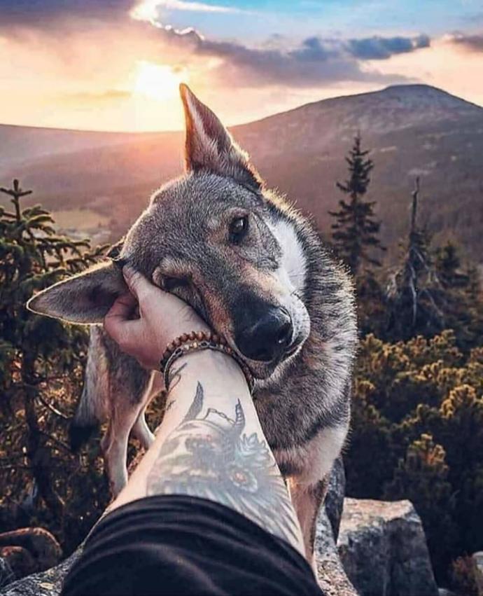 İyi akşamlar KS sakinleri..😊