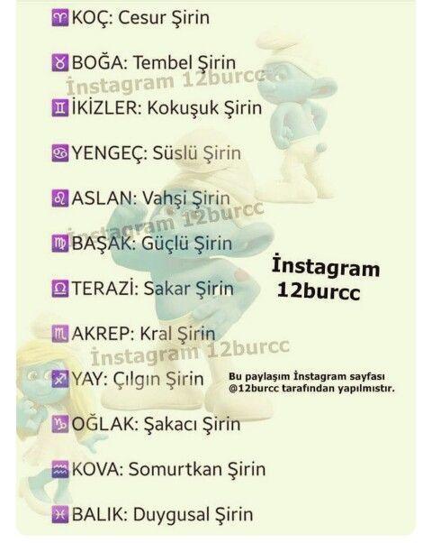 Burcunuza göre hangi şirin karakterisin?