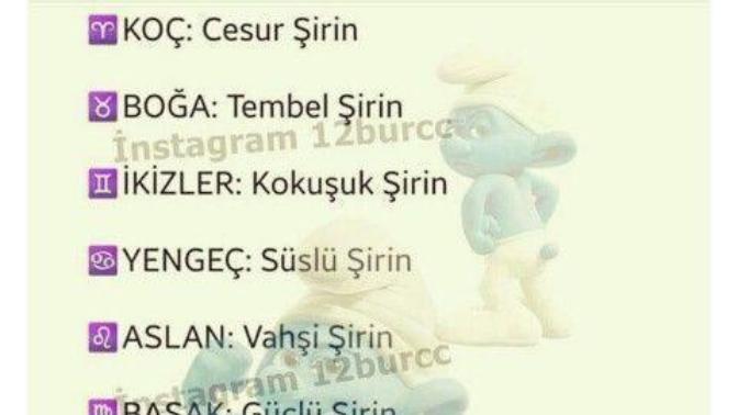 Burcunuza göre hangi şirin karakterisin?