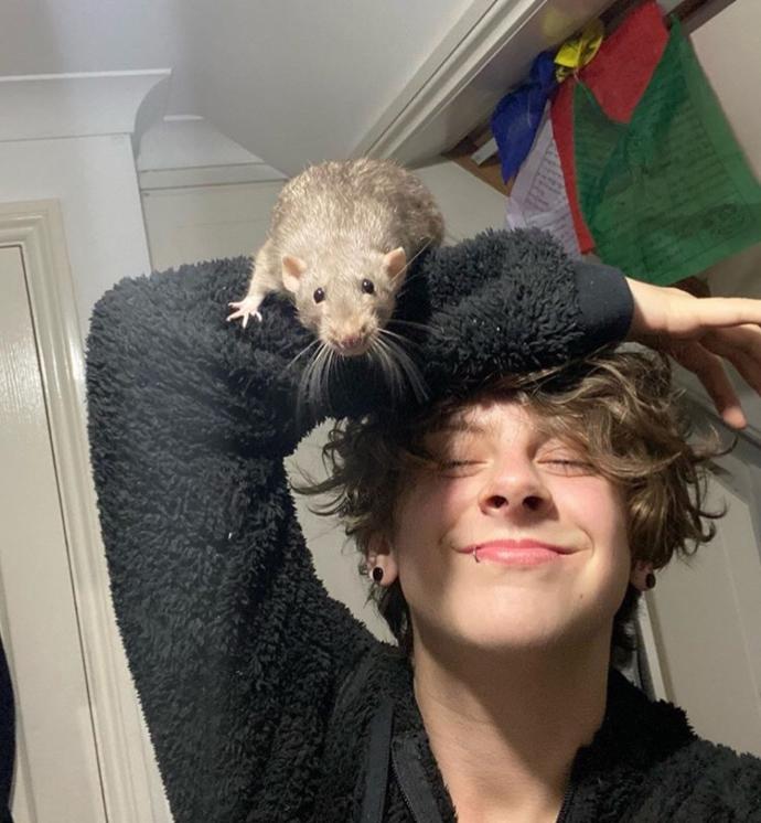 Merhabalar sizi evcil hayvanımla 😍🐀 tanıştırayım mı?