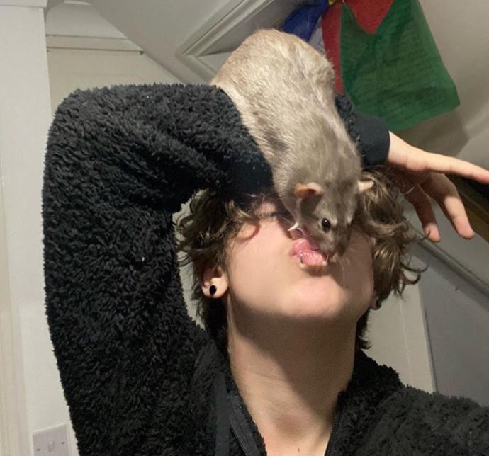 Merhabalar sizi evcil hayvanımla 😍🐀 tanıştırayım mı?