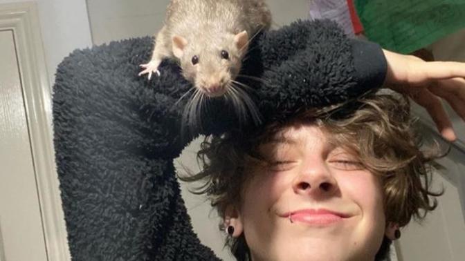 Merhabalar sizi evcil hayvanımla 😍🐀 tanıştırayım mı?