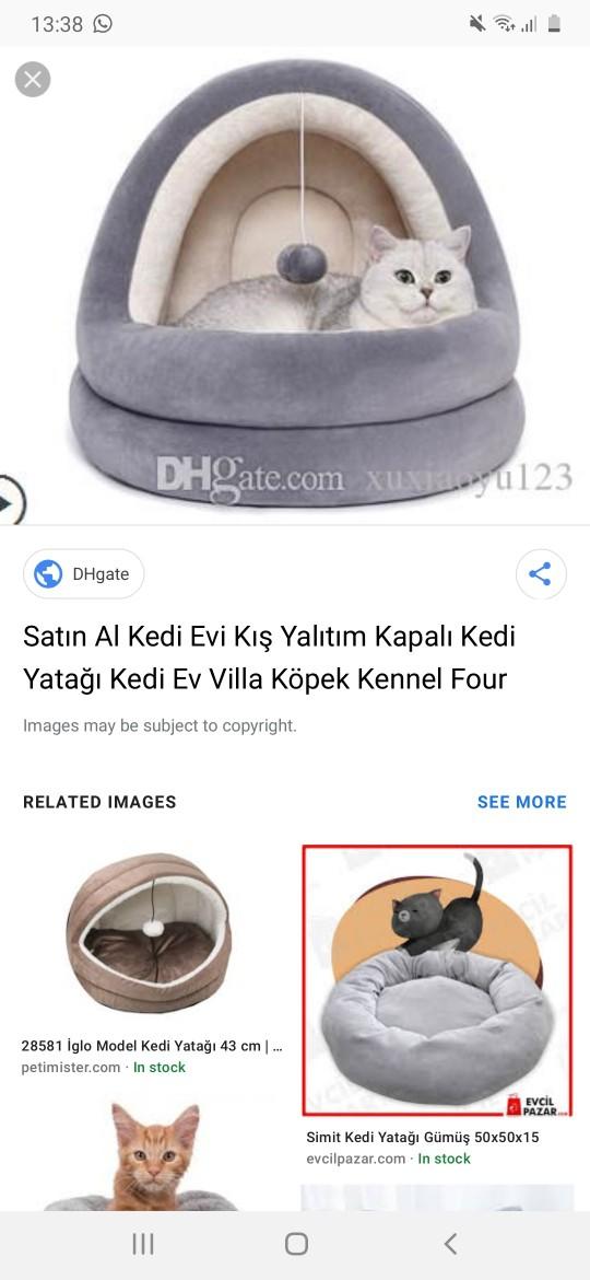 Kedisi olan arkadaşlar sizin kediniz nerede uyuyor ve nasıl davranıyorsunuz?
