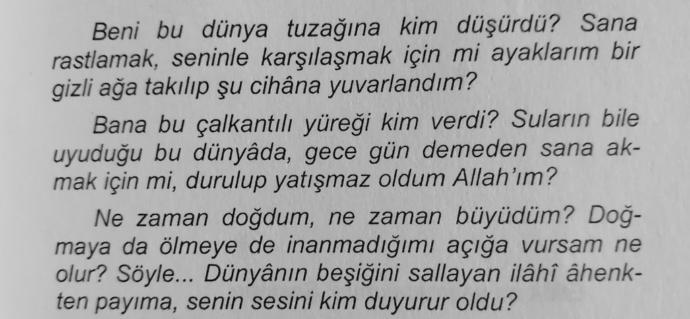 Bana bu çalkantılı yüreği kim verdi? Suların bile uyuduğu bu dünyada..