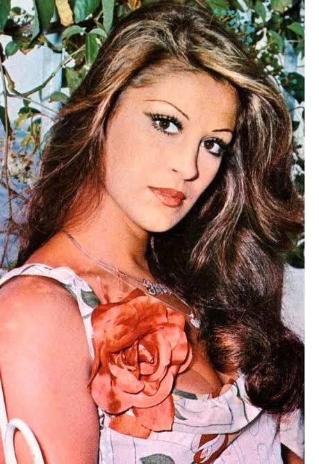 Gülşen Bubikoğlu mu daha güzel Hande Erçel mi?