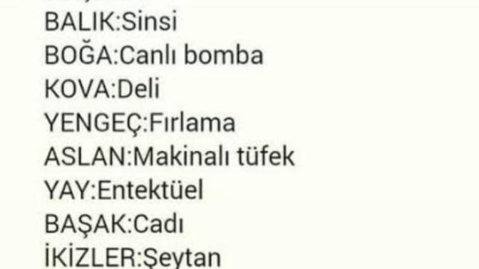 Burcuna göre hangisisin?