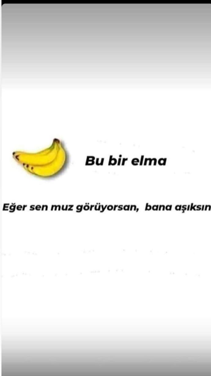 Arkadaslar siz ne goruyosunz?