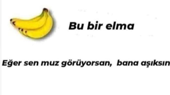 Arkadaslar siz ne goruyosunz?