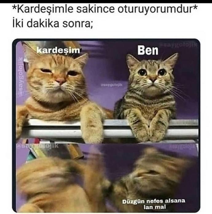Ya bu görsel cidden ablamla ben wgkayqushsja