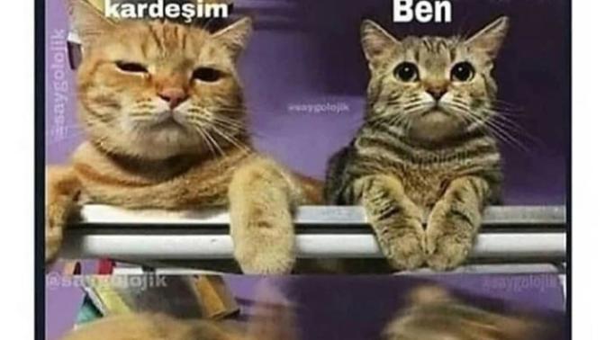 Kardeşi ile anlaşabilen var mı gerçekten?