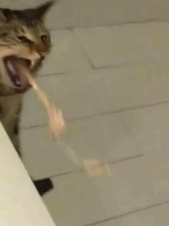 Asansörü çağırdın ve kapı açılınca karşına böyle biri çıktı, ne yaparsın?