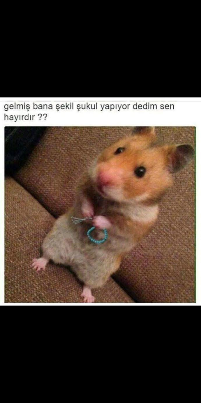 Telefonunuzdaki en utanç verici fotoğraf hangisidir?