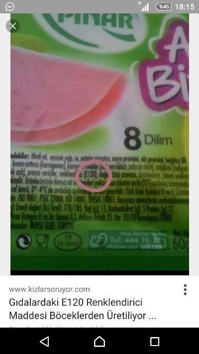 E120 karmin oluyor