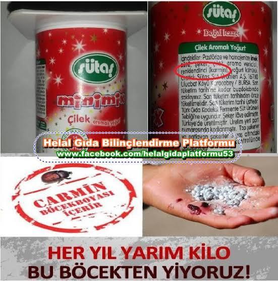 Karmin içeren ürünler hakkında ne düşünüyorsunuz? Siz bunları yiyor musunuz?