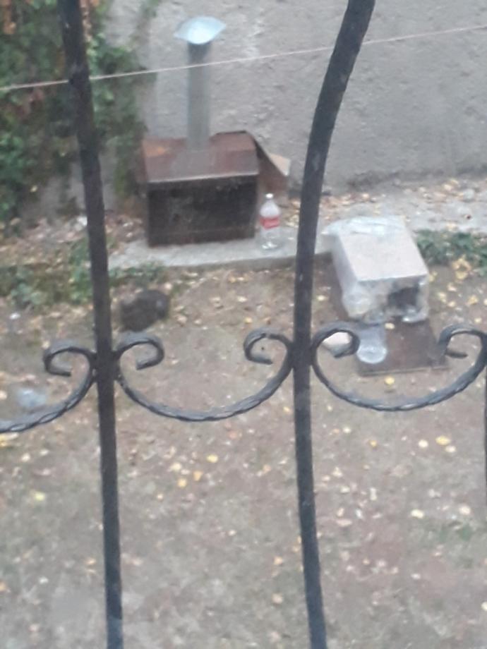 Bahçede beslediğim kedim yaptığım yuvaya girmiyor, neden?