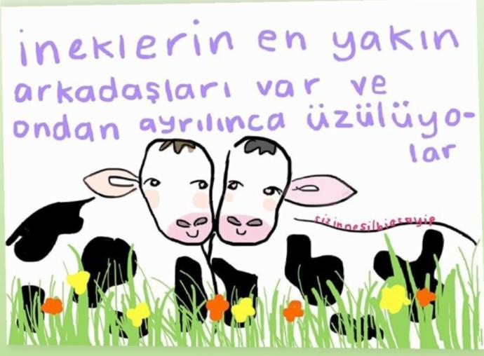 En çok kimi özlüyorsunuz?