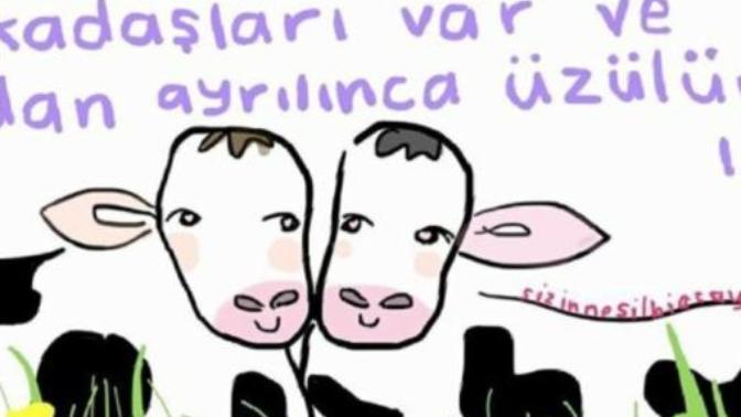 En çok kimi özlüyorsunuz?