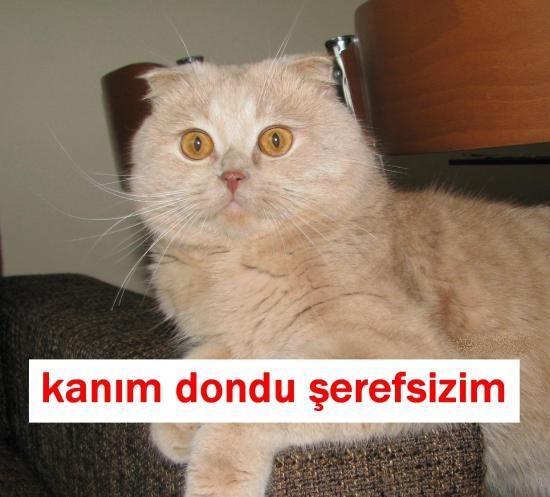 =))
