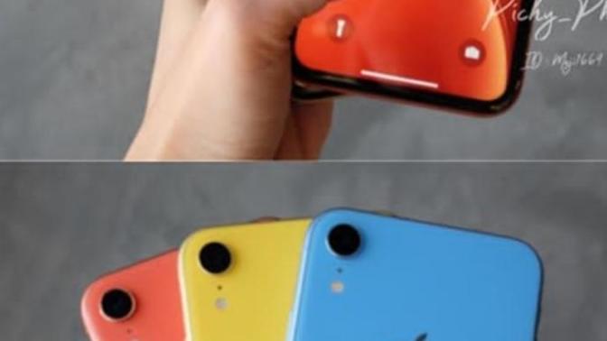 İphone XR renkleri?