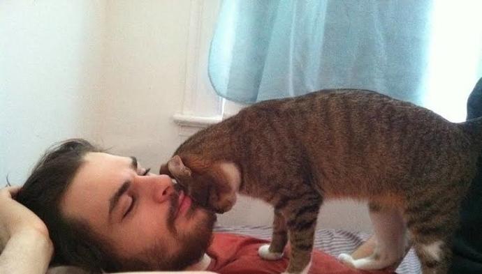 Sokakta baktığım kedim hem kendini sevdirmiyor hem de peşimden gelip bacağıma sürtünüyor! Kediler sizce neden böyle?